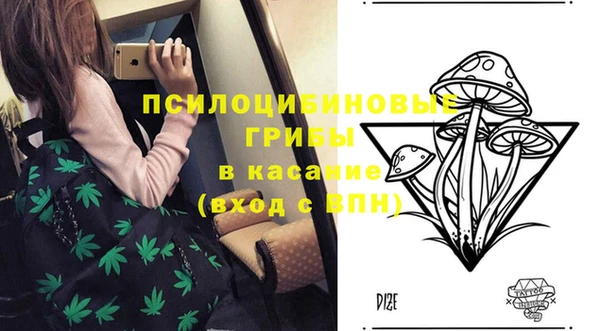 тгк Осташков