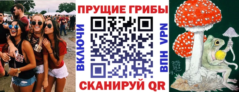 мега маркетплейс  Хилок  Псилоцибиновые грибы Cubensis 